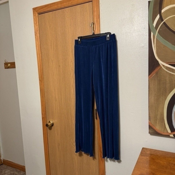 Rachel Zoe Small Solid Blue High-Rise Pleated Wide Leg Pull-On Pants - EUC - Picture 1 of 4